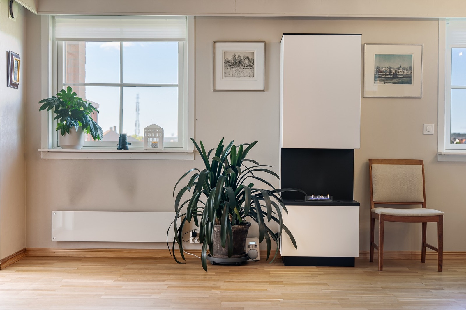 Biopeis - et dekorativ element i stuen. Galleribilde