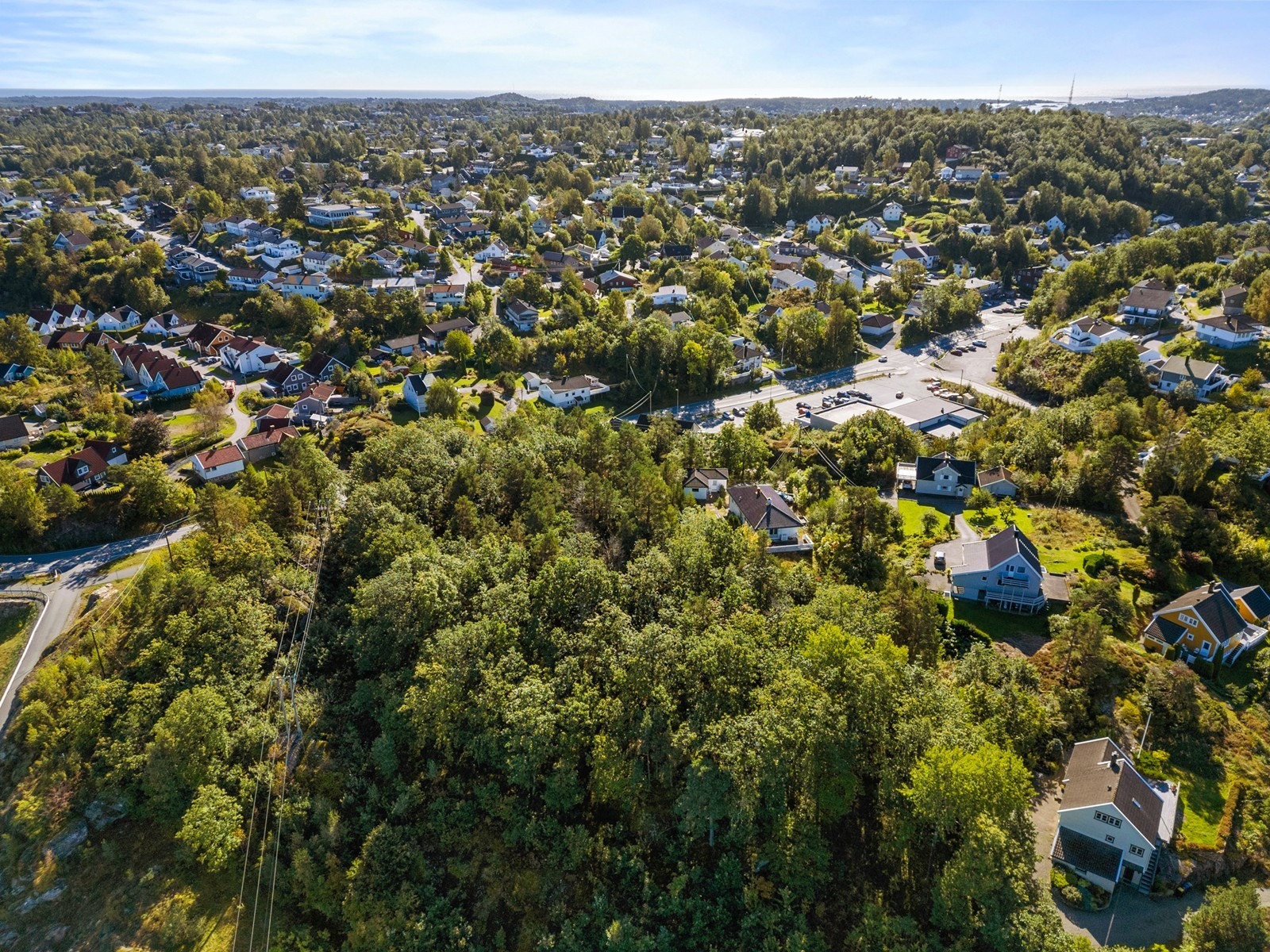 Dronefoto over området Galleribilde