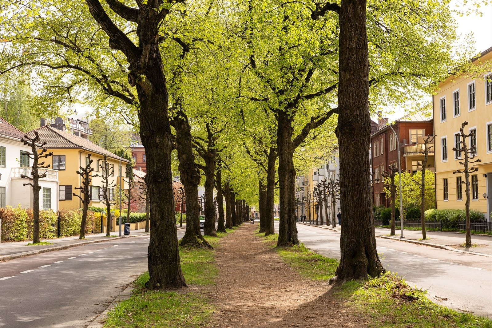 Frognerparken ligger like i nærheten og byr på både trening, turer og avslapning. Galleribilde