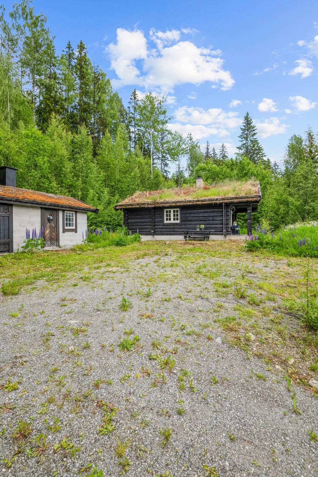 Øvre Nordsinni 586! Galleribilde