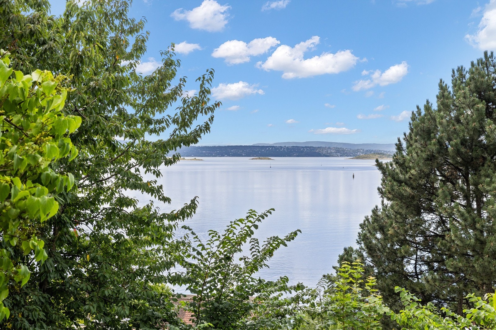 Fantastisk utsikt fra leiligheten! Galleribilde