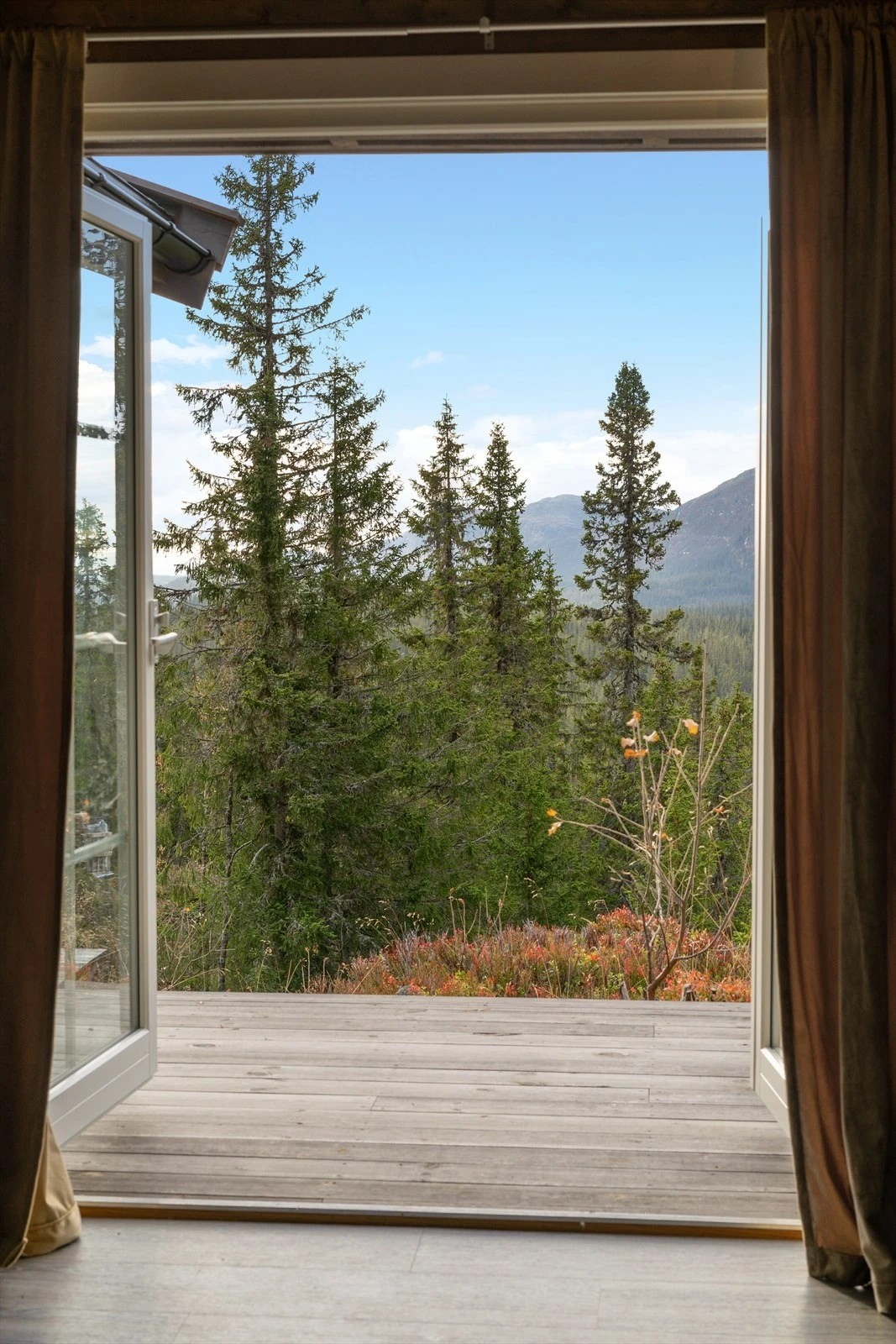 Utsiktsbilde fra stuedelen, med adkomst rett ut i naturen Galleribilde