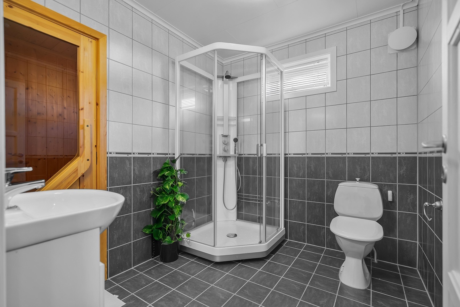 Bad med badstue i kjelleren Galleribilde