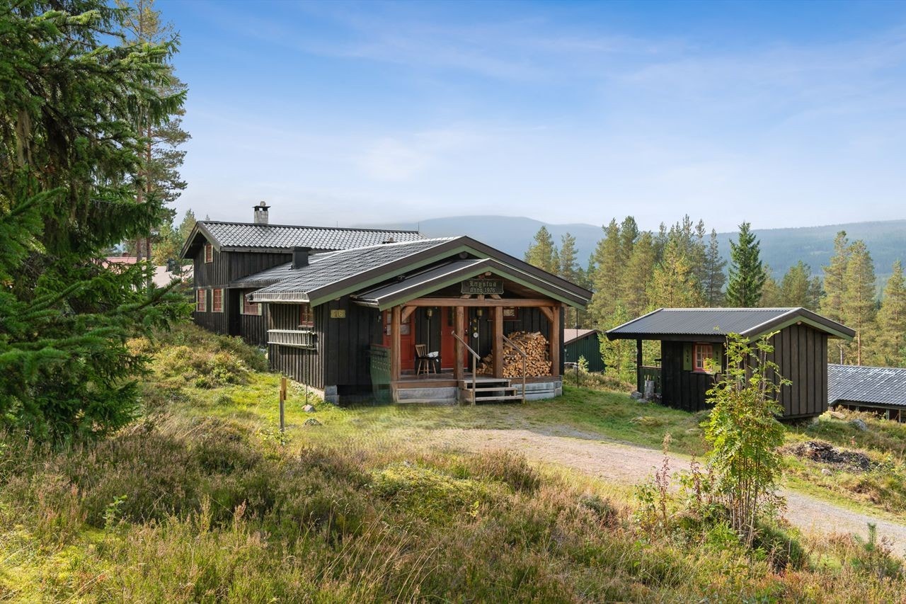 Velkommen til Stenbakkvegen 16! Galleribilde