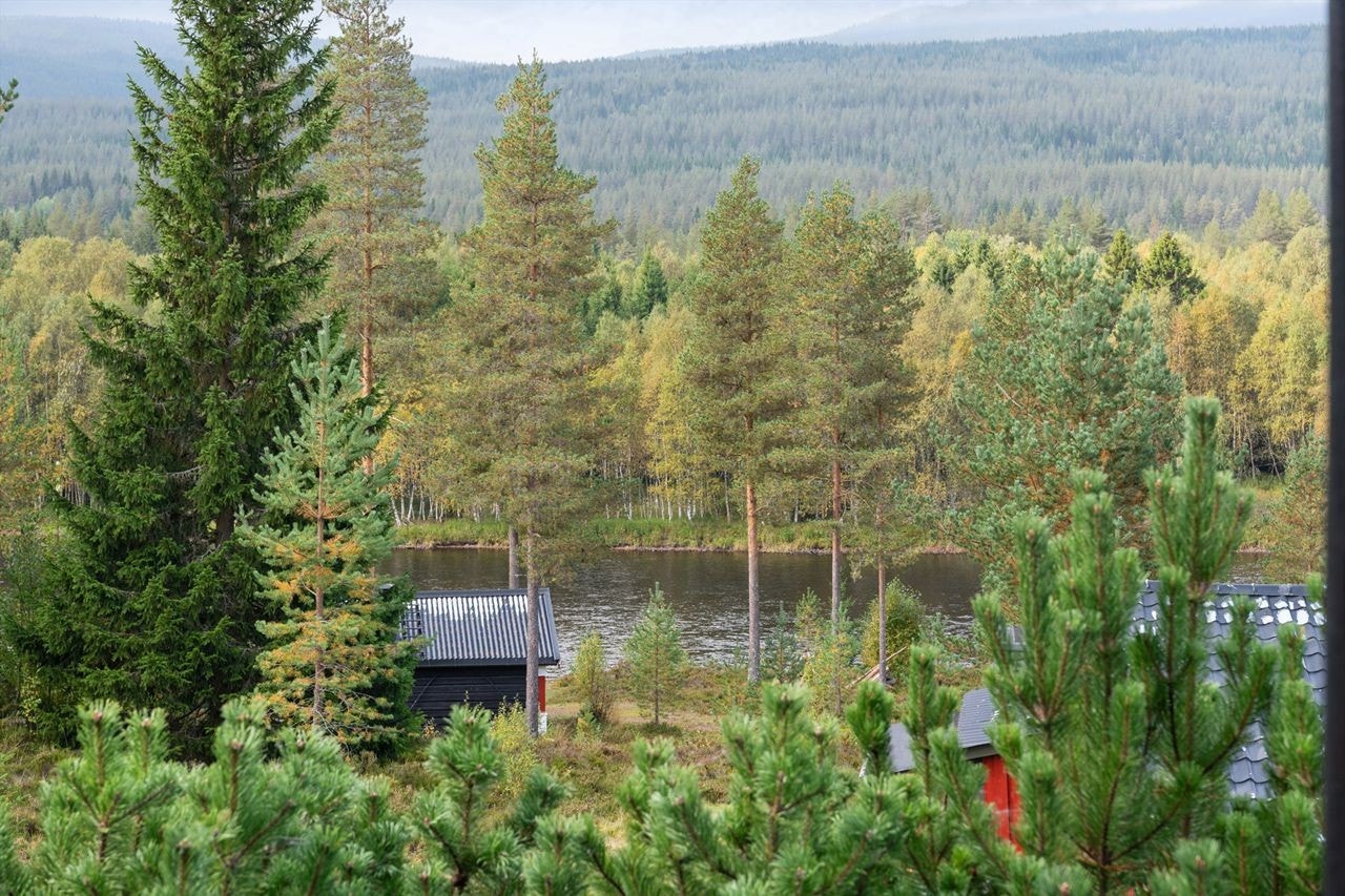 Fra hytta er det utsikt til Trysilelva og de store skogområdene som kjennetegner Trysil. Galleribilde