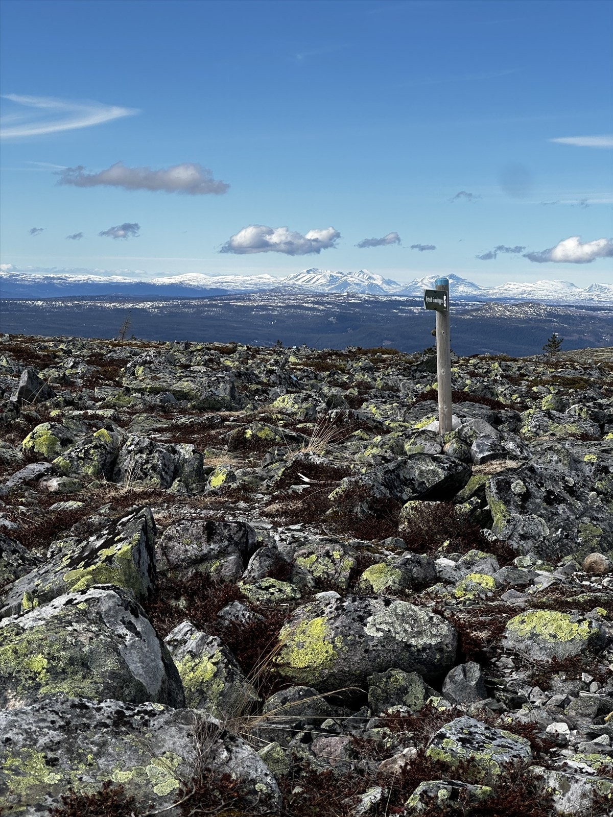 Renåfjellet mot Sølen. Galleribilde
