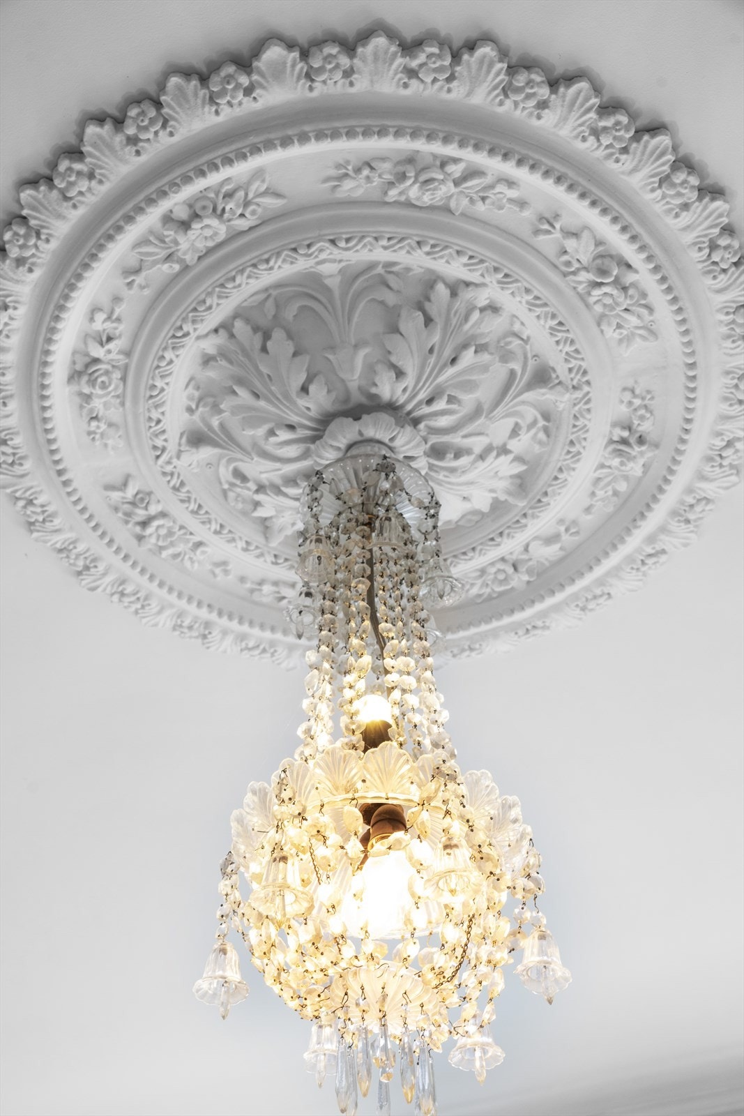 Nydelig rosett i himlingen Galleribilde