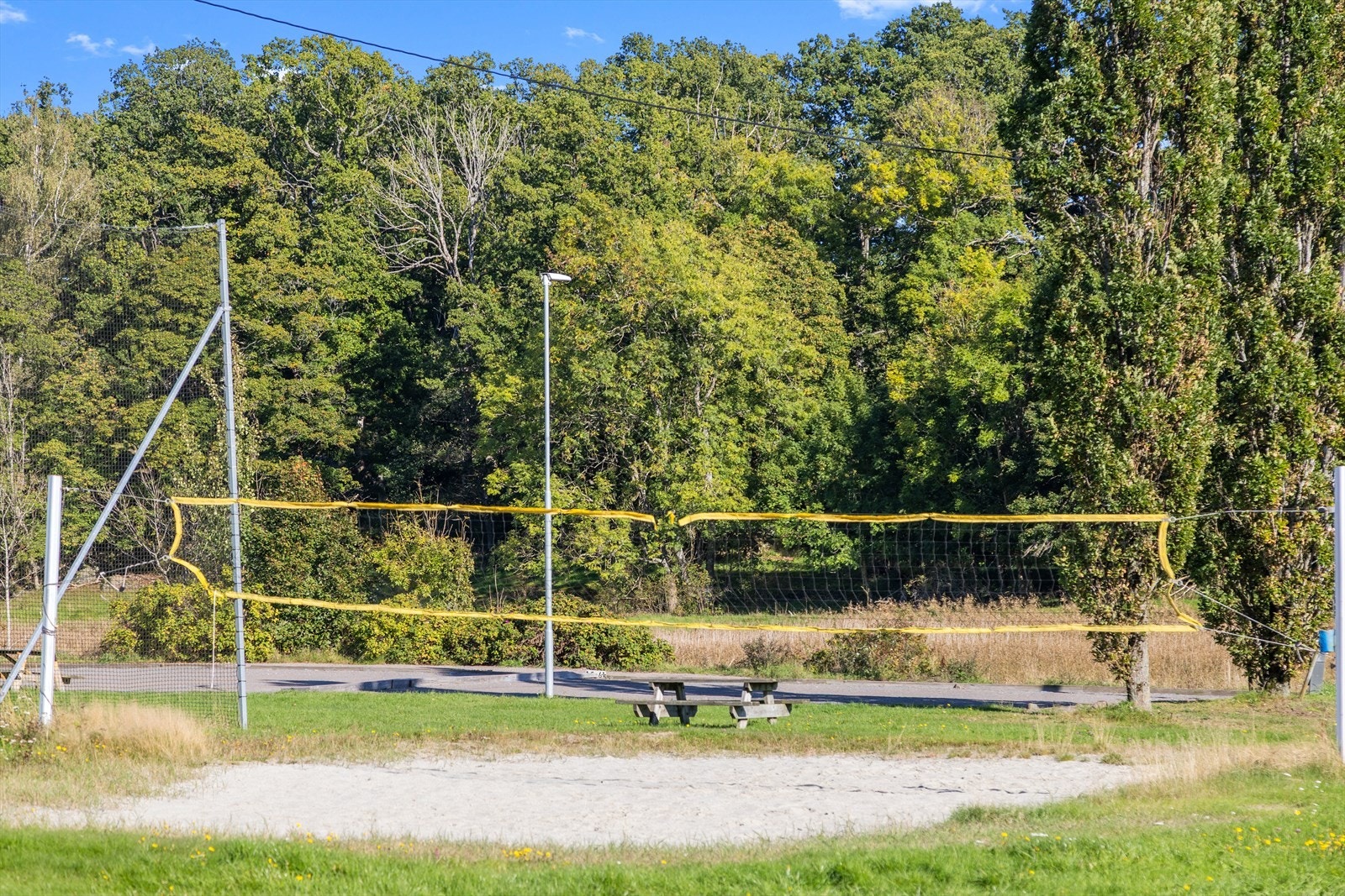 Nærområdet. Galleribilde