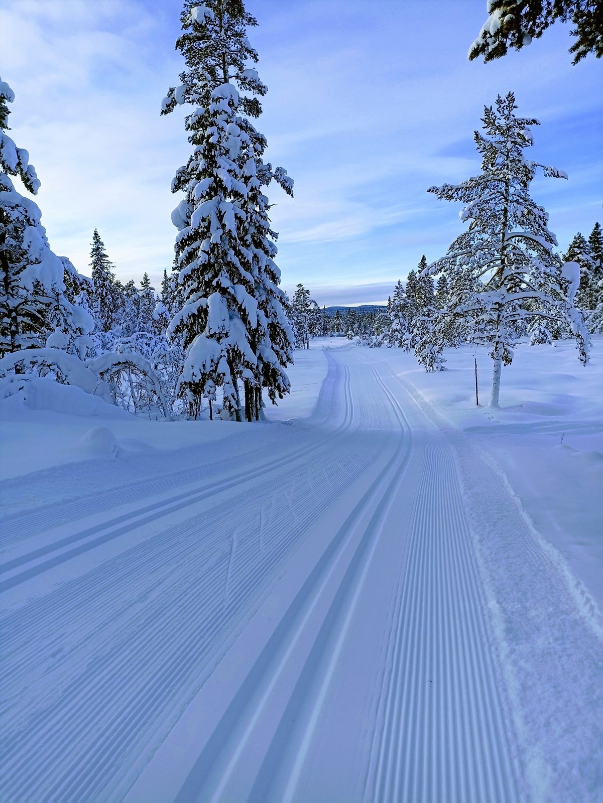 Det er over 20 mil med preparerte langrennsløyper innover i fjellet! Galleribilde