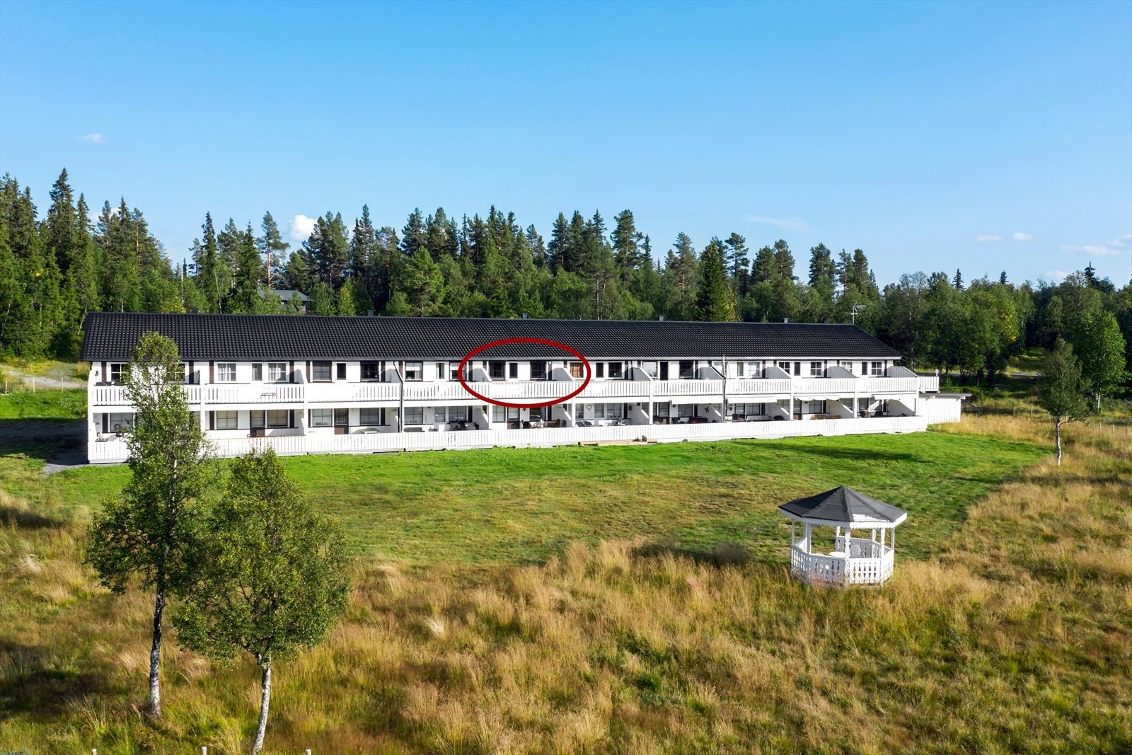 Velkommen til fjells og på visning i sommer! Galleribilde