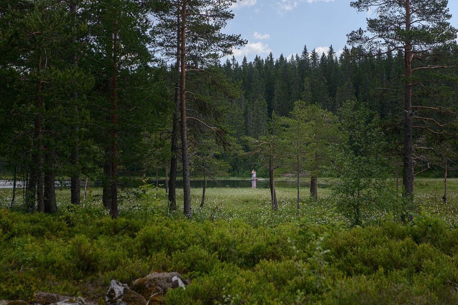 Røyslitjernet er ikke langt unna. Galleribilde