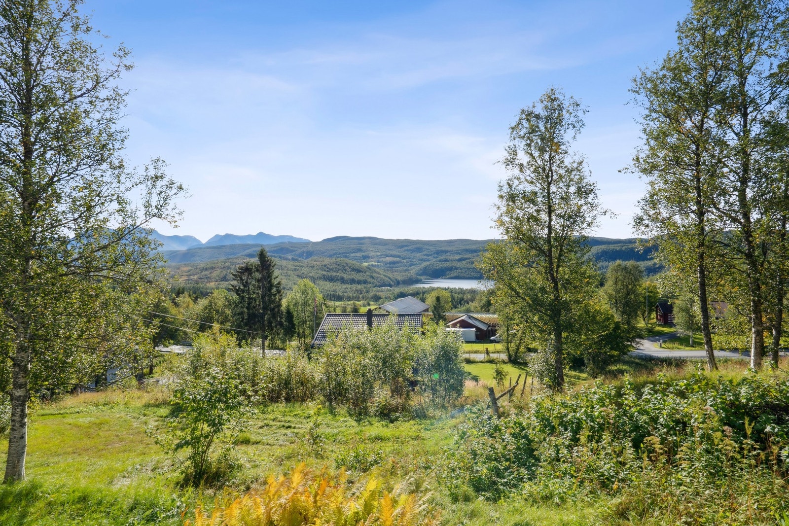 Velkommen på visning! Galleribilde