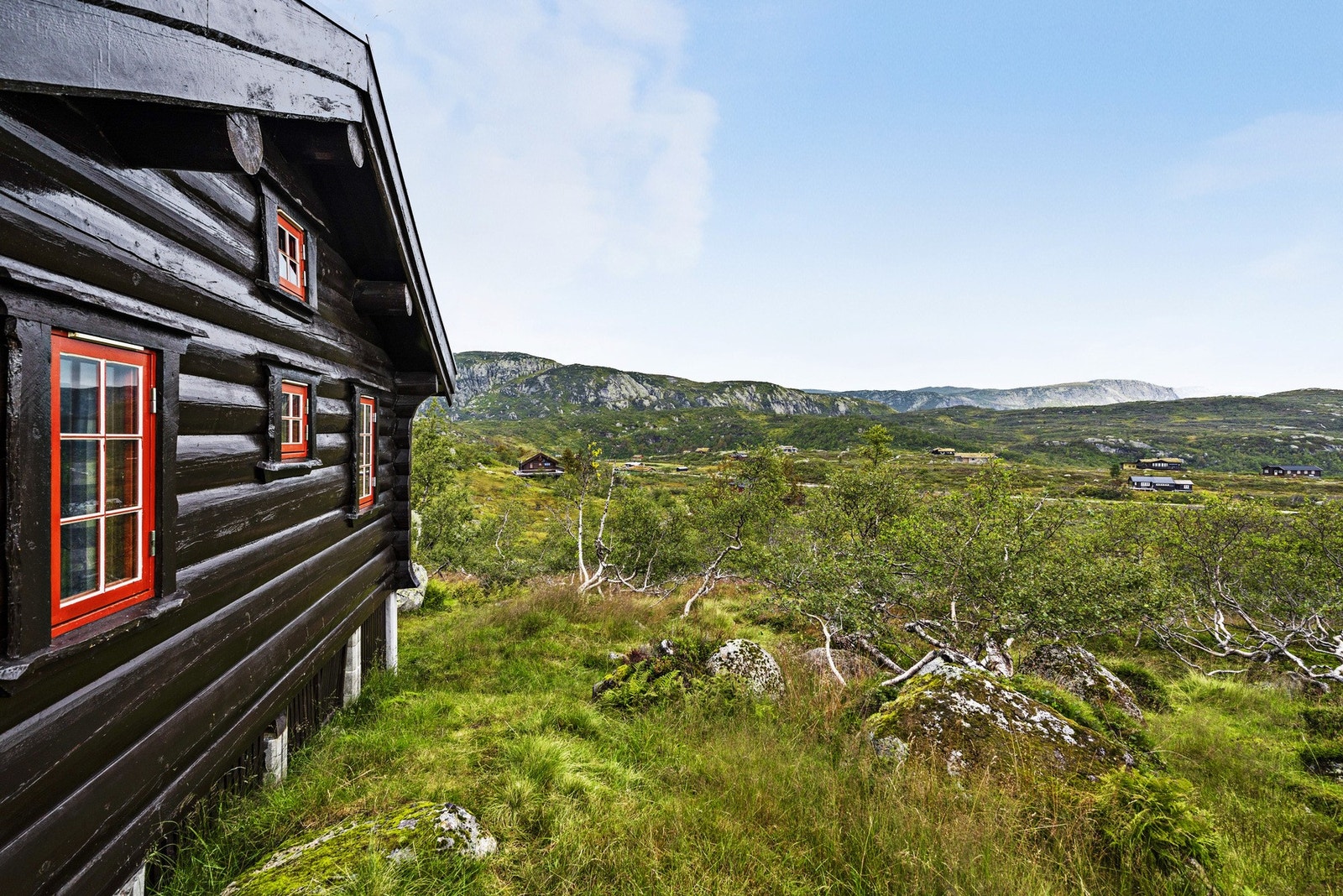 Storslåtte omgivelser. Galleribilde