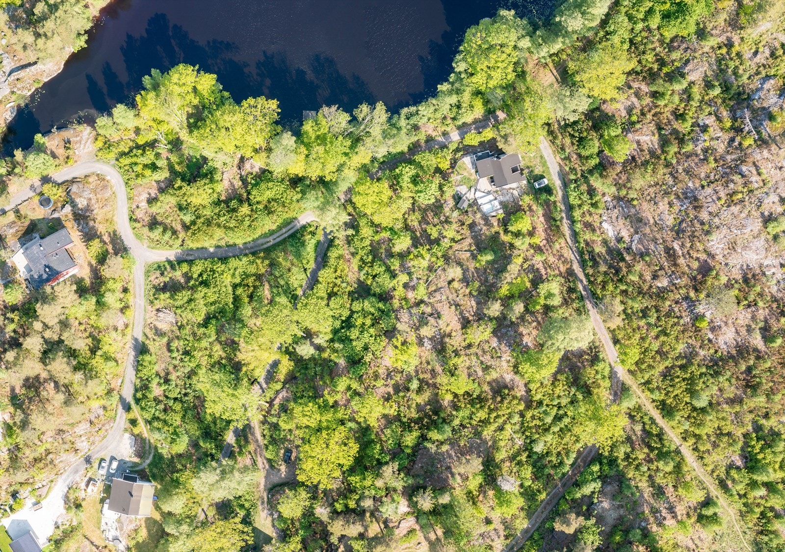 Oversiktsbilde over tomteareal Galleribilde