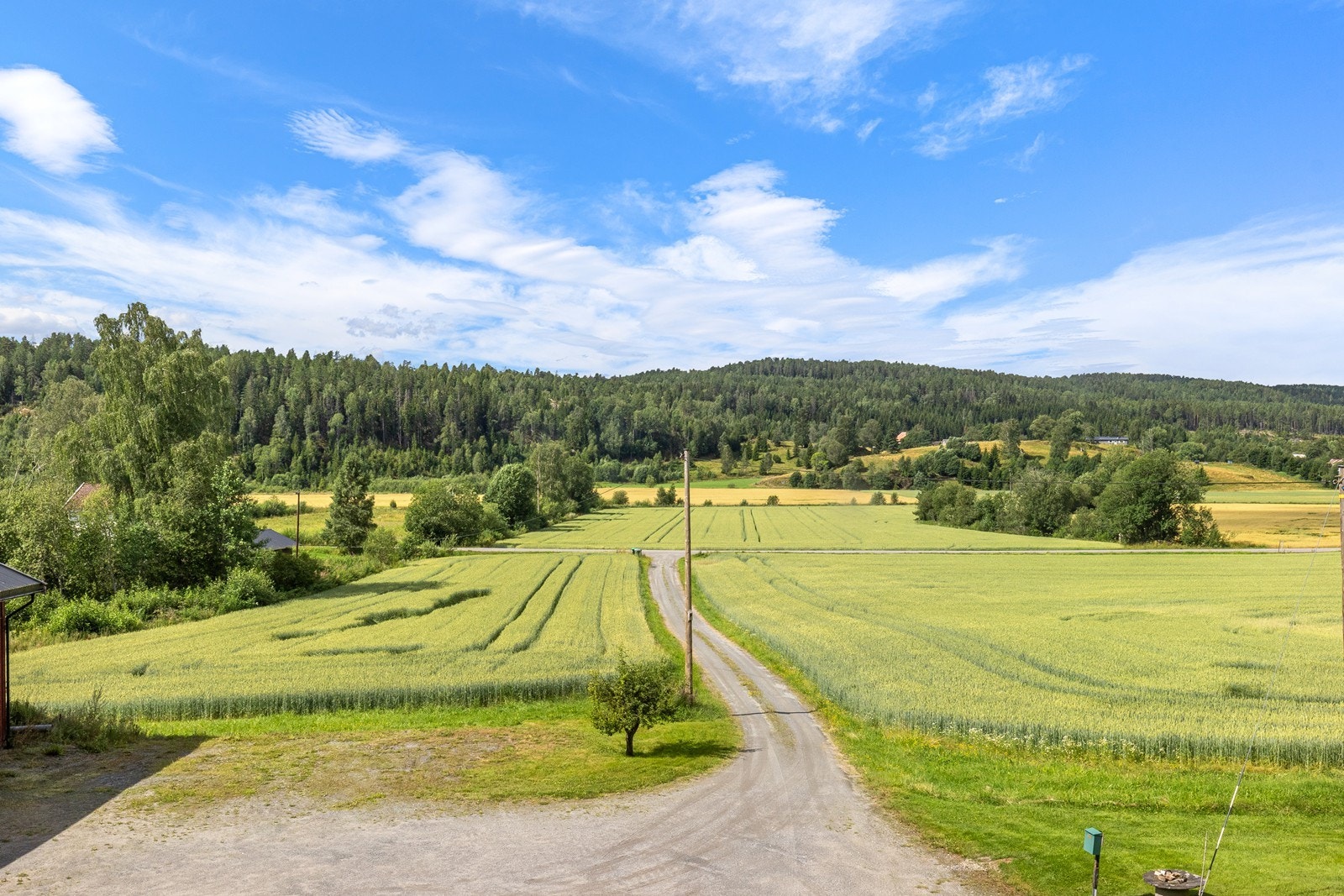 Utsikt fra terrassen. Galleribilde