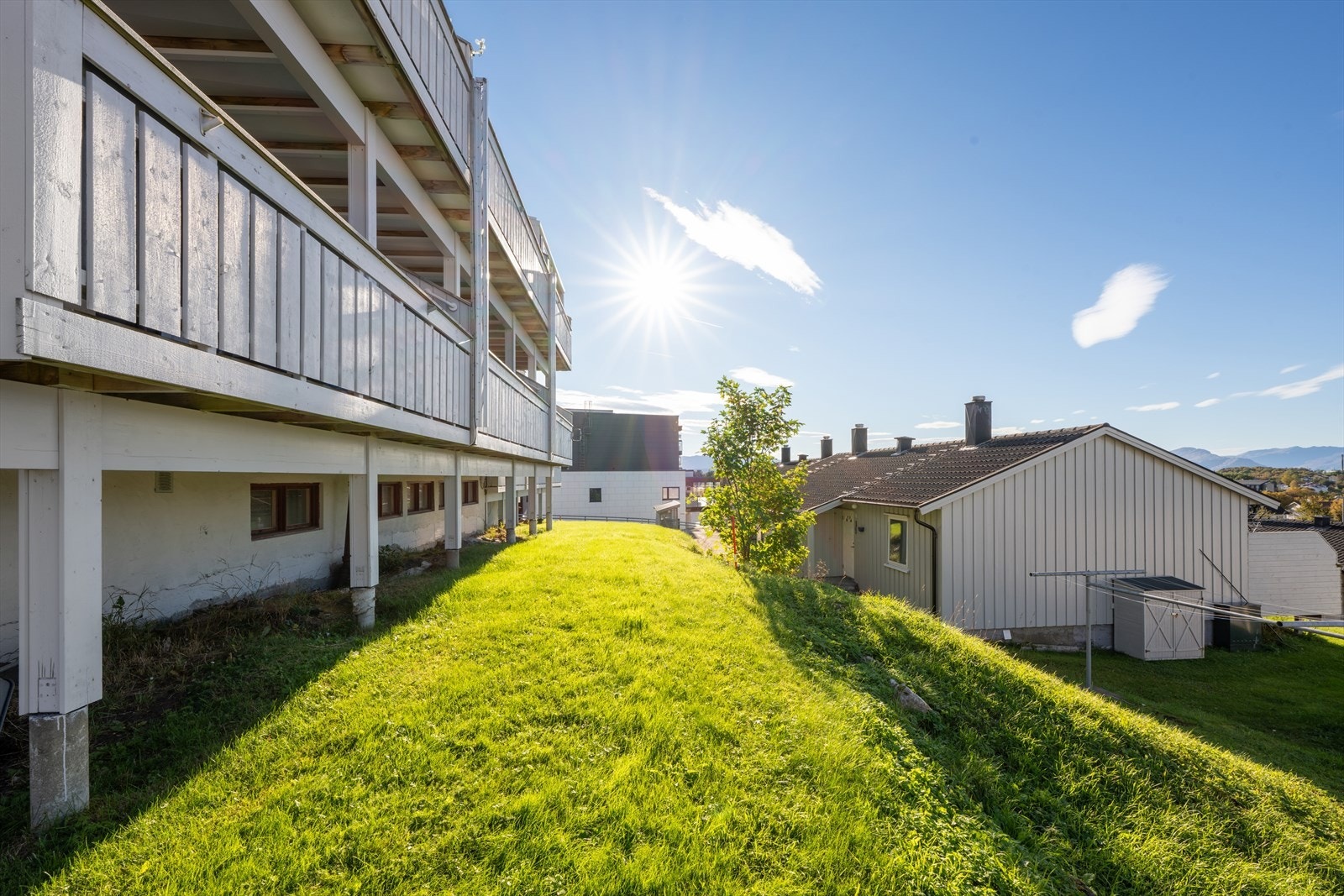 Flotte felles uteområder med hage og plen. Galleribilde