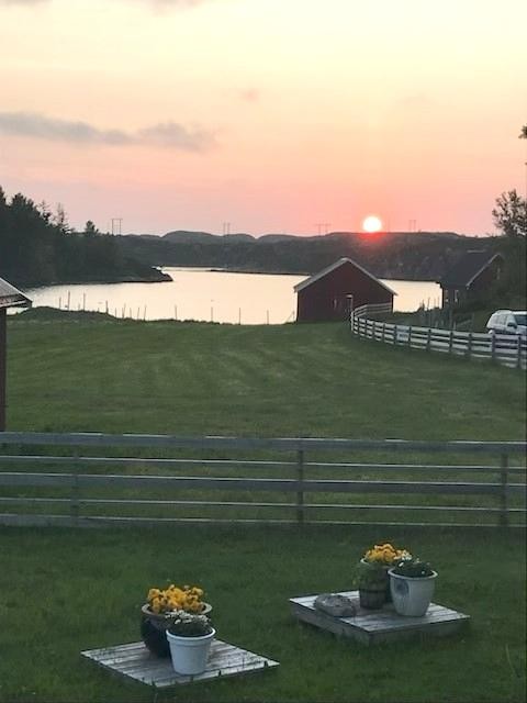 Område mot sjøen Galleribilde