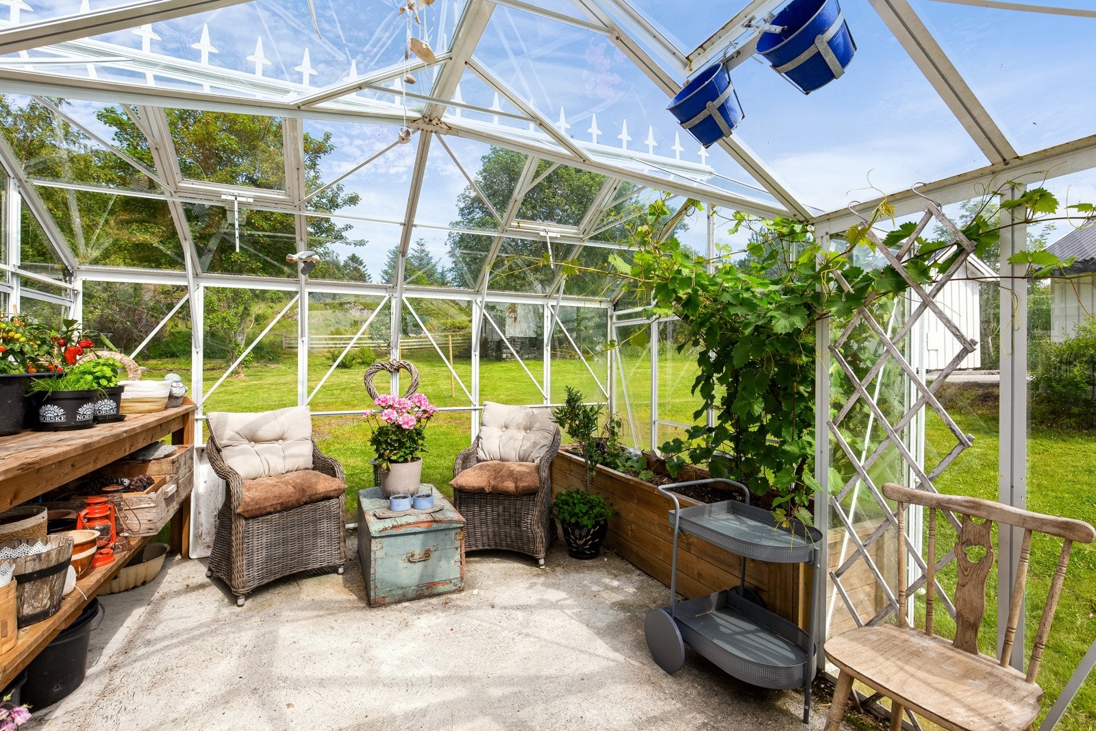 Hobbyveksthus Galleribilde