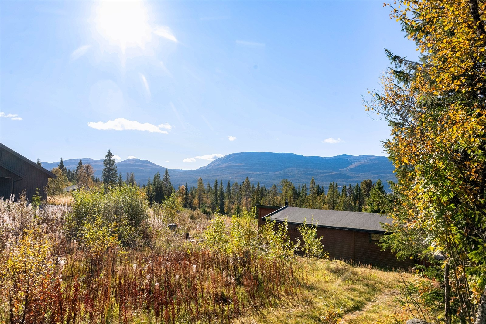 Kort gange fra veien og ned til hytta. Galleribilde