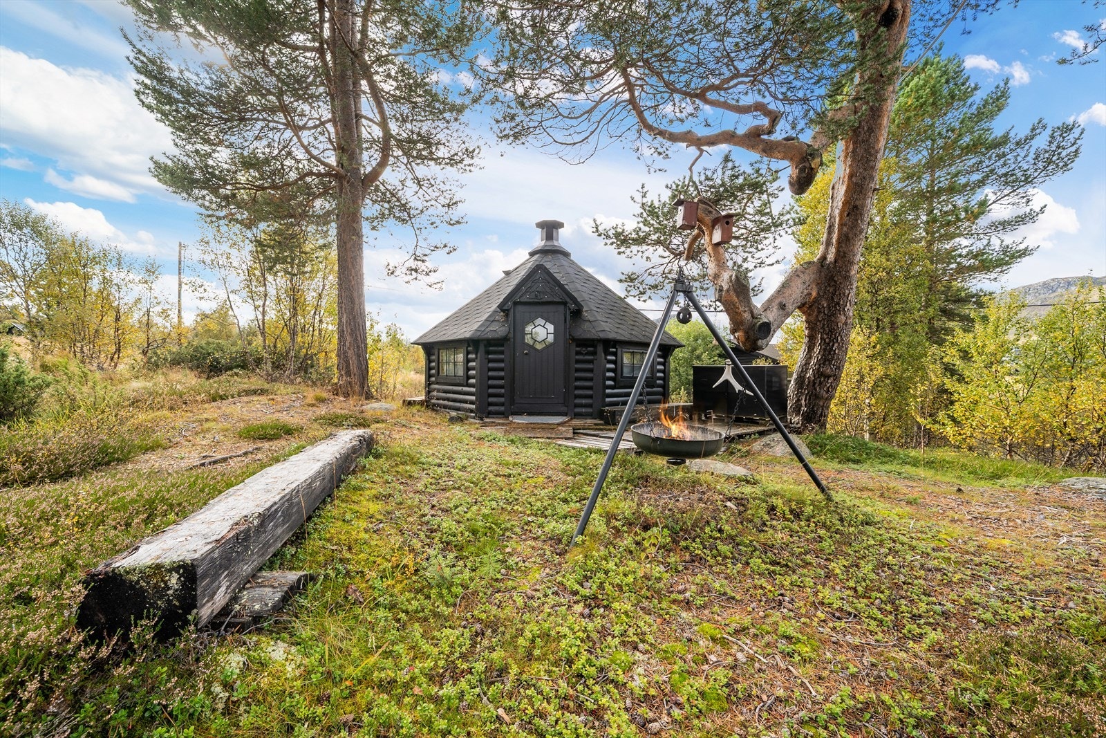 307543_DSC08994.jpg Galleribilde