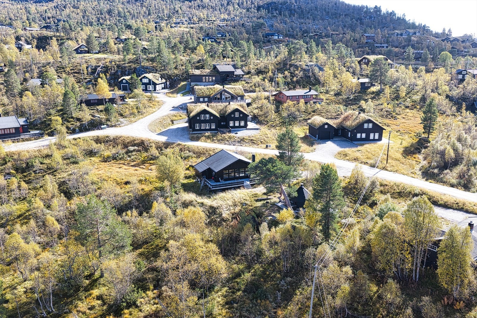 307543_DJI_20250923001359_0386_D.jpg Galleribilde