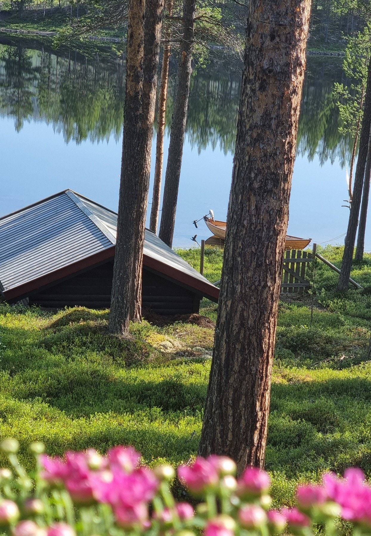 Selgers private bilde. Galleribilde