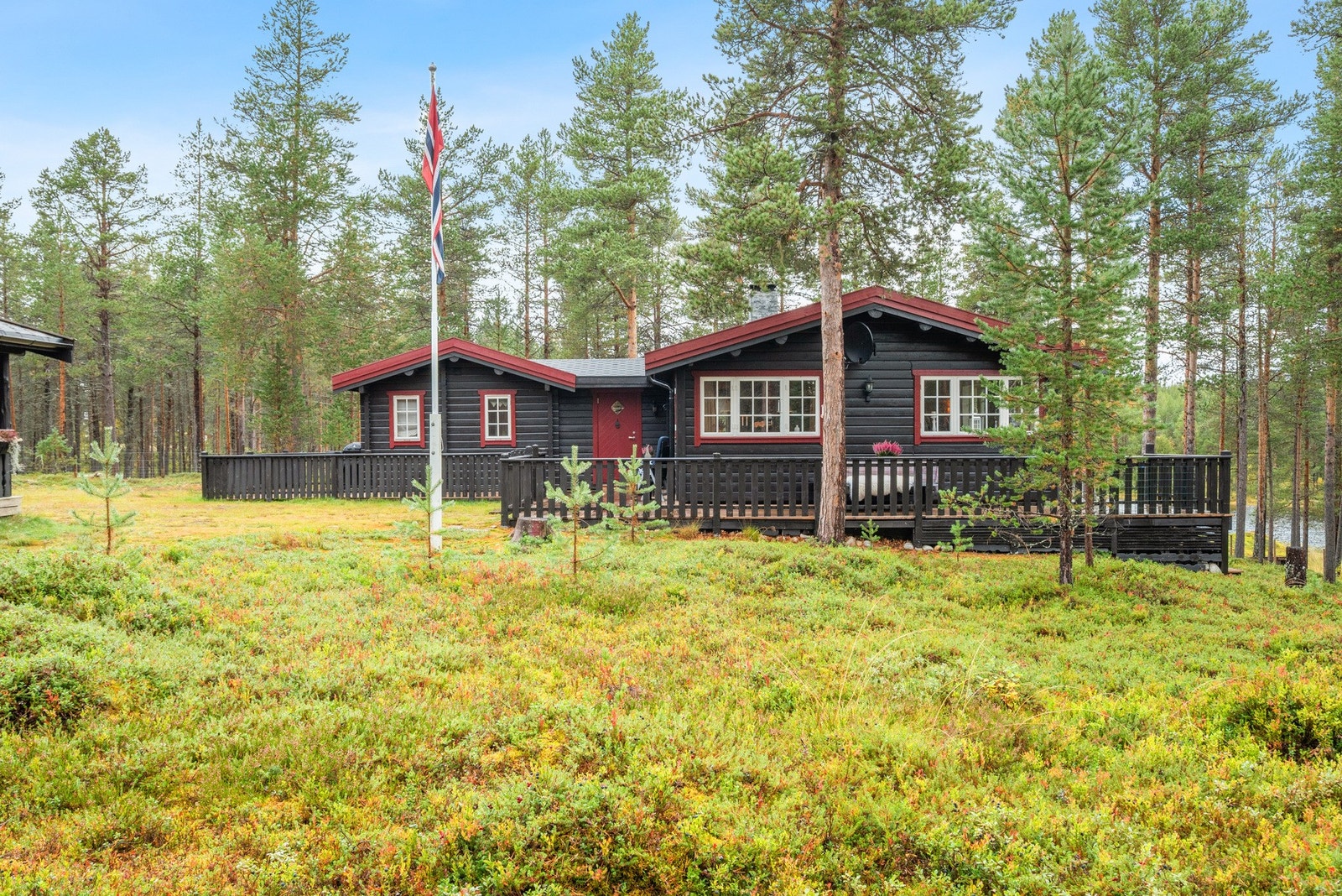 Herlig og meget innholdsrikt hyttetun med fantastisk beliggenhet. Galleribilde