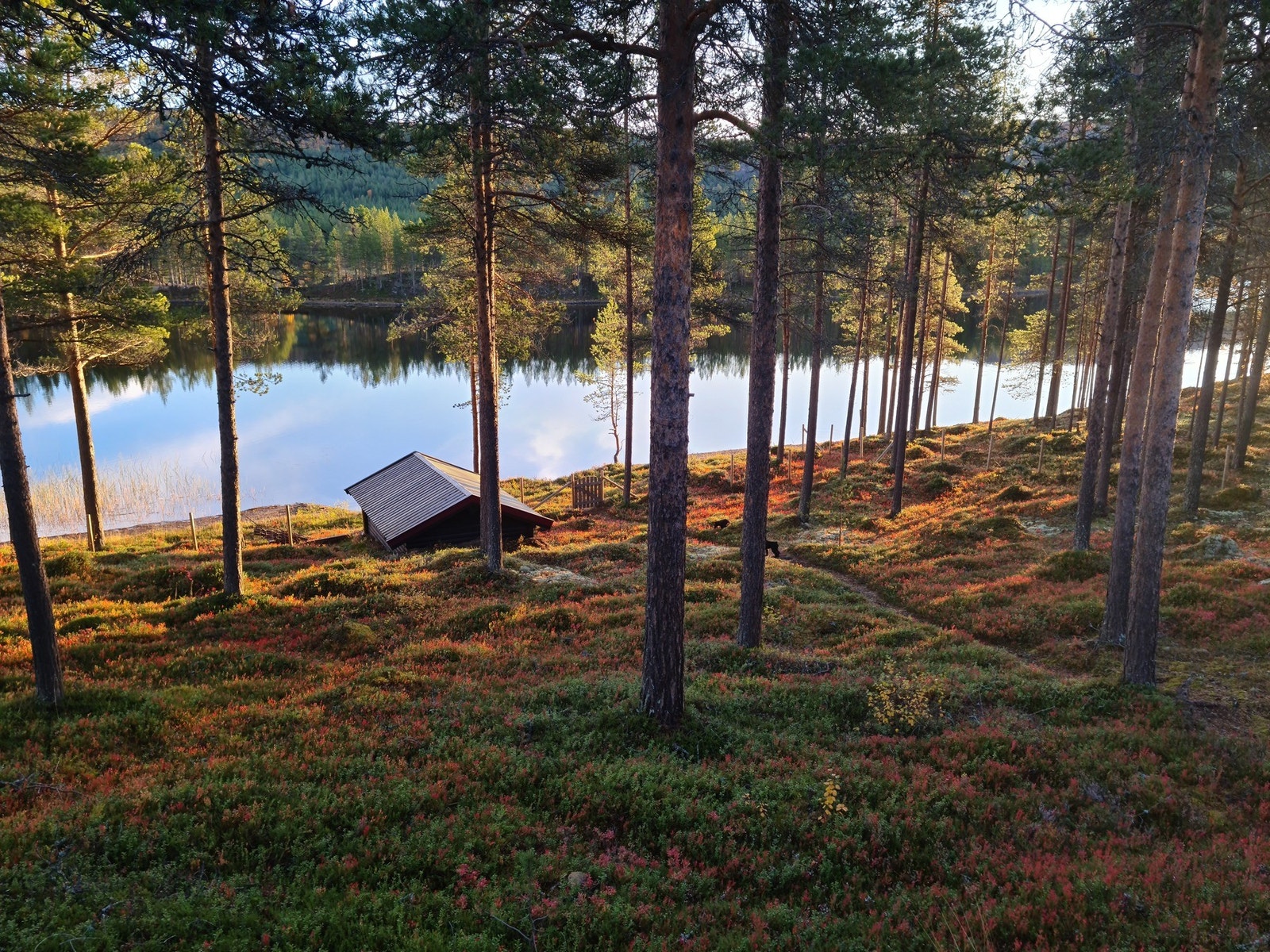 Selgers private bilde. Galleribilde