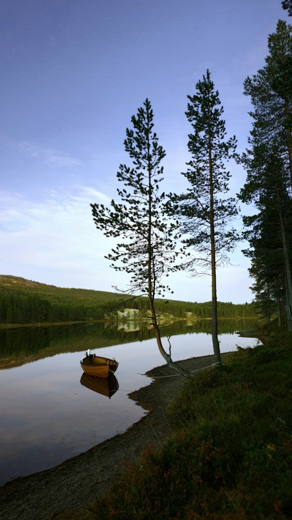 Selgers private bilde. Galleribilde