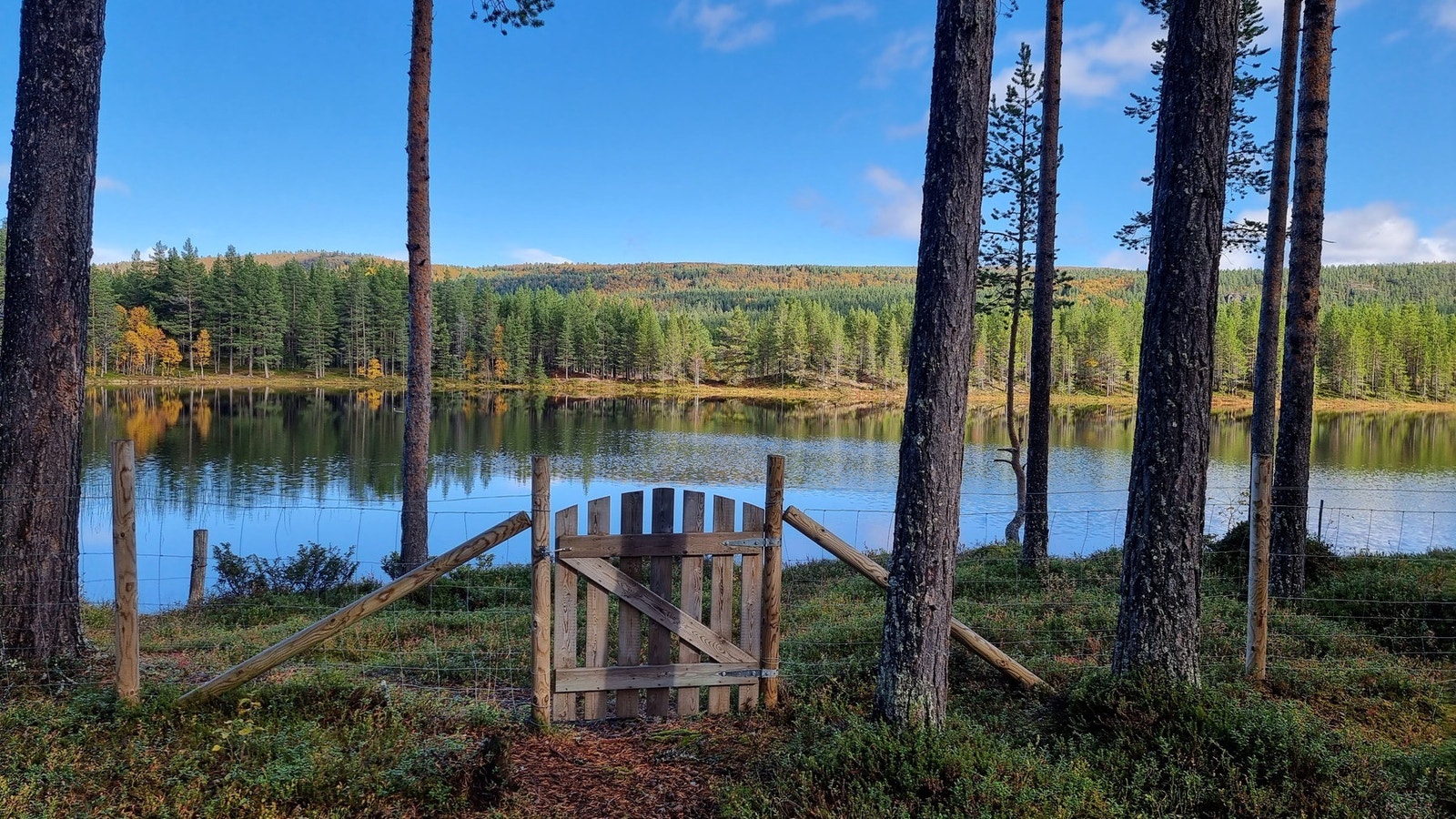 Tomten er inngjerdet, med port mot vannet. (Selgers private bilde) Galleribilde