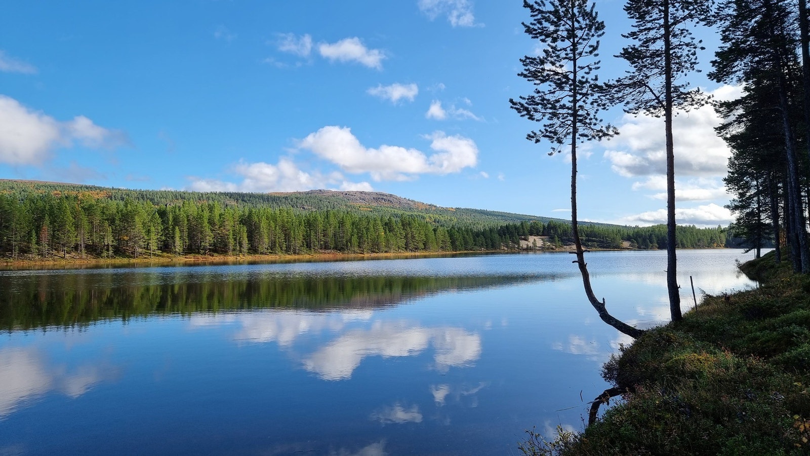 Selgers private bilde. Galleribilde