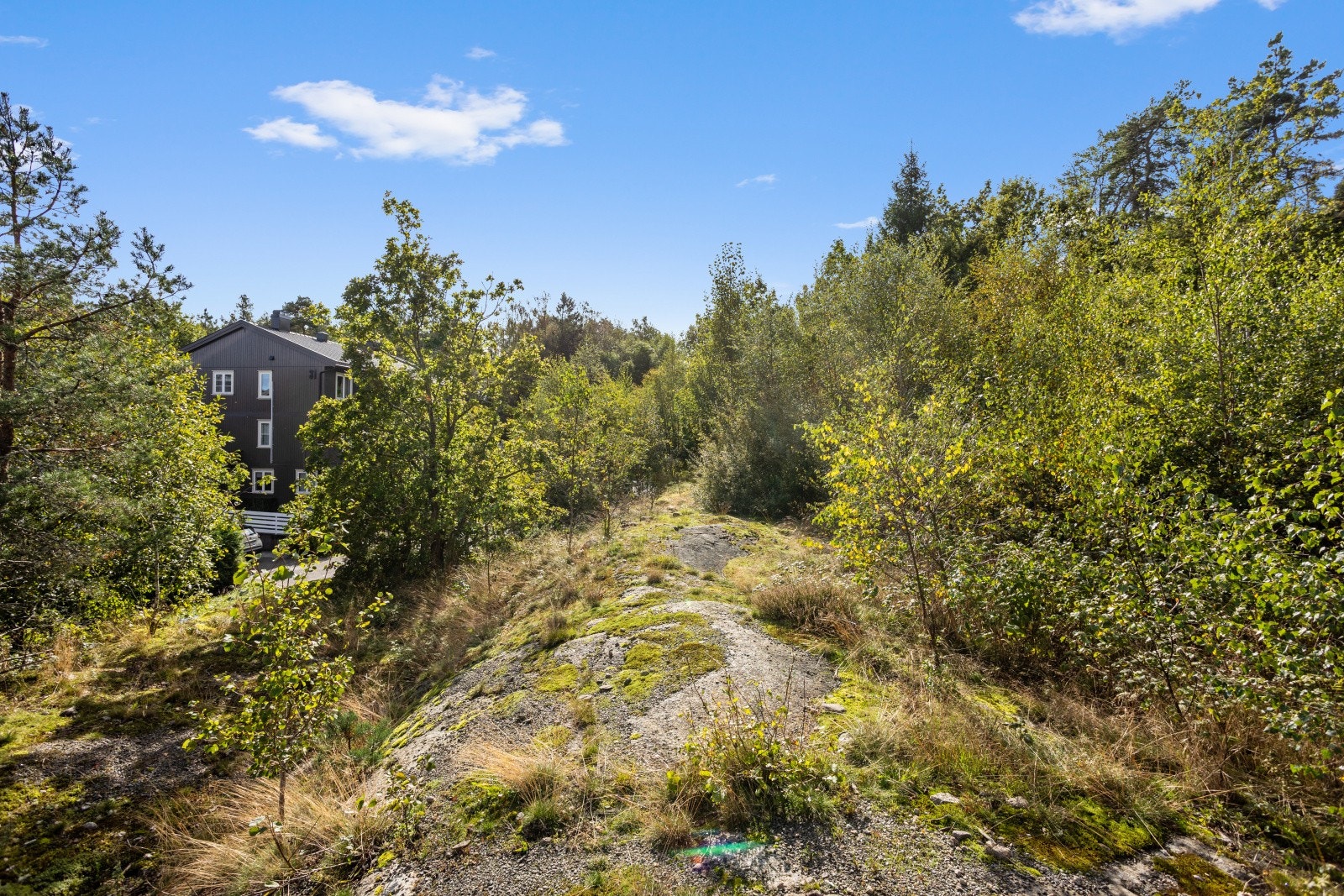 Tomten består i det vesentlige av fjell-/steingrunn. Det er noe naturlig vegetasjon på tomten, i det vesentlige lavtvoksende vegetasjon samt enkelte trær. Galleribilde