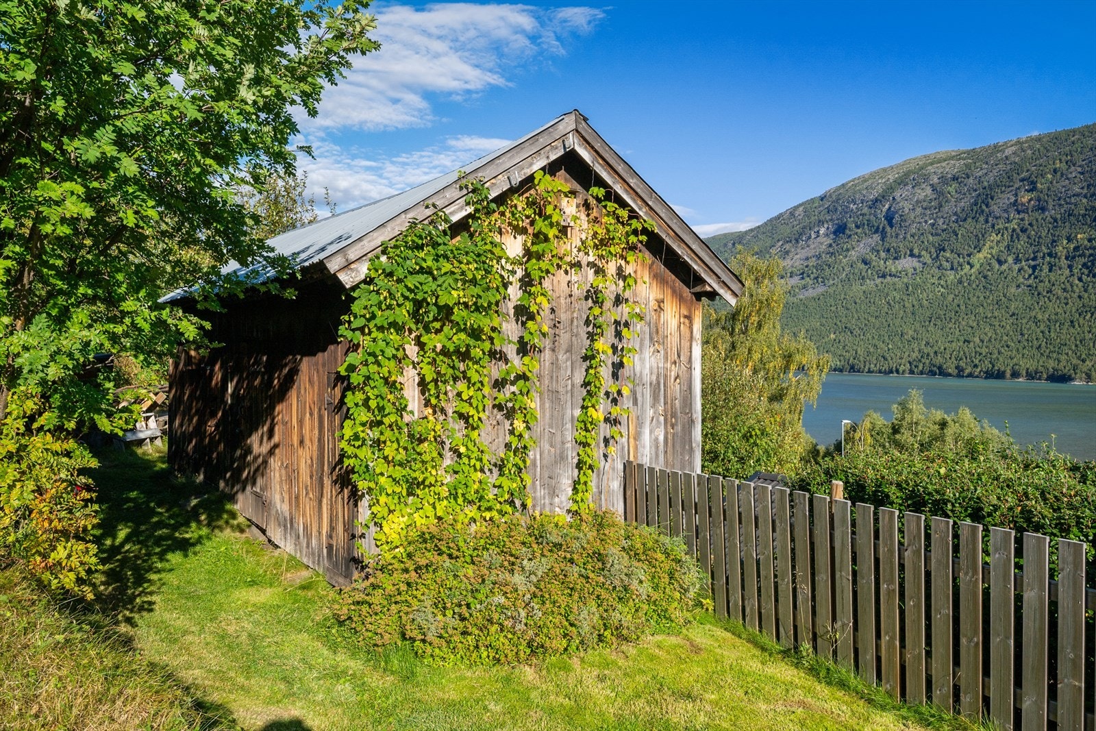 Eldre fjøs. Galleribilde