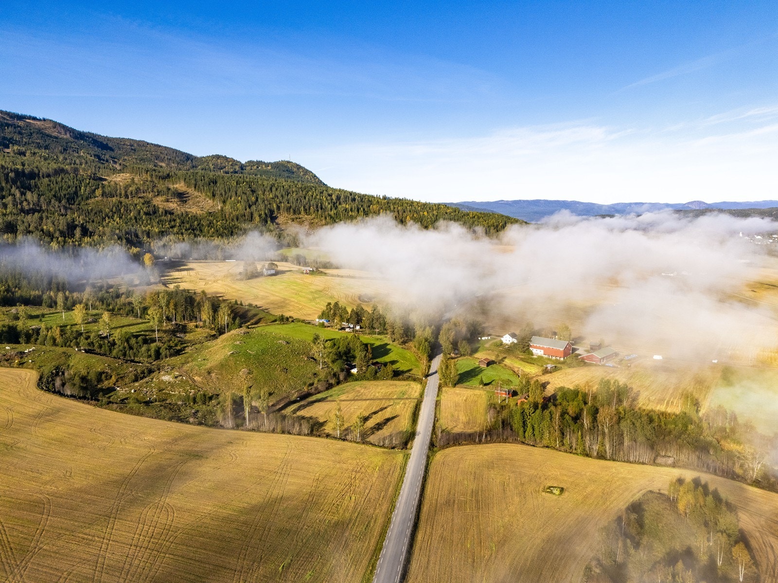 Velkommen til en hyggelig visning! Galleribilde