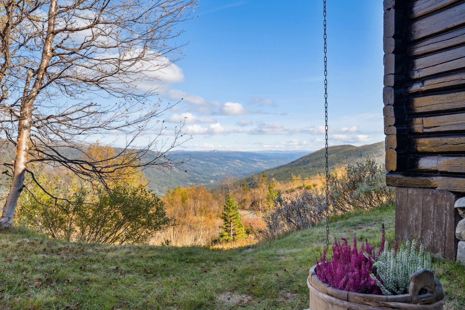 Flott utsikt! Galleribilde