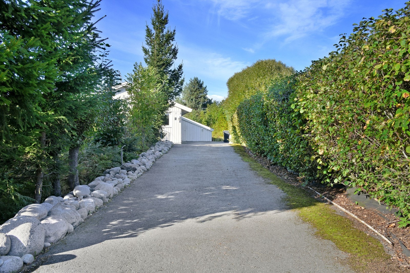 Innkjøring - hyggelig innkjøringsparti med diverse busker på hver sin side av veien Galleribilde