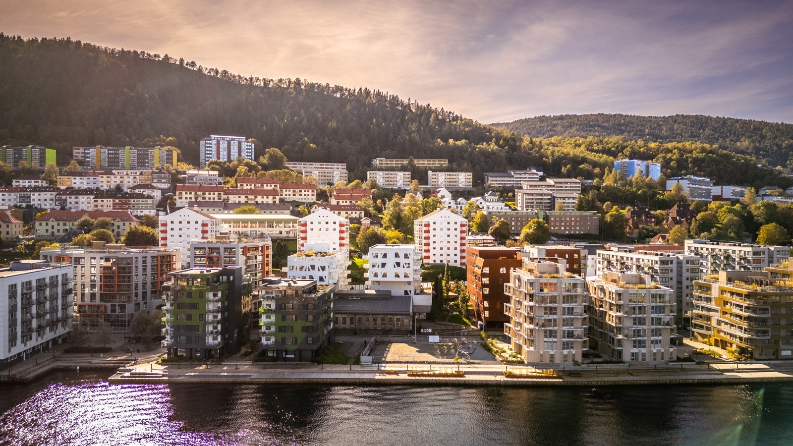 Rett bak leiligheten går det tursti til Løvstakken - Det er også rundt et minutt å gå til treningssenteret EVO Galleribilde