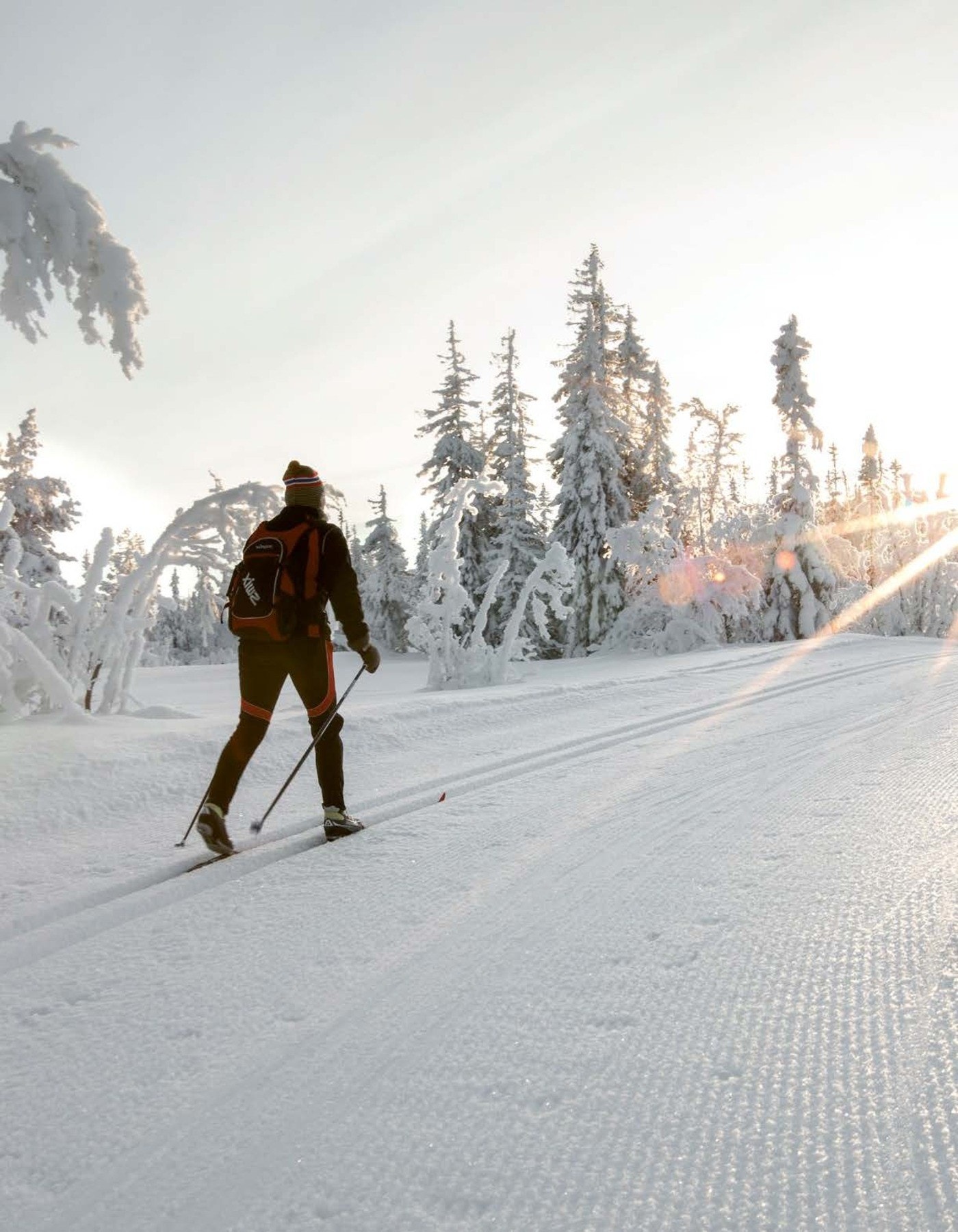 Fra skiløypene på Turufjell Galleribilde