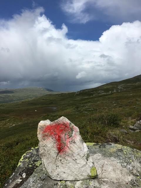 Vegglifjell byr på flotte turområder også om sommeren. Galleribilde