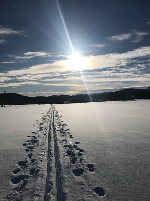 Vinteridyll. Galleribilde