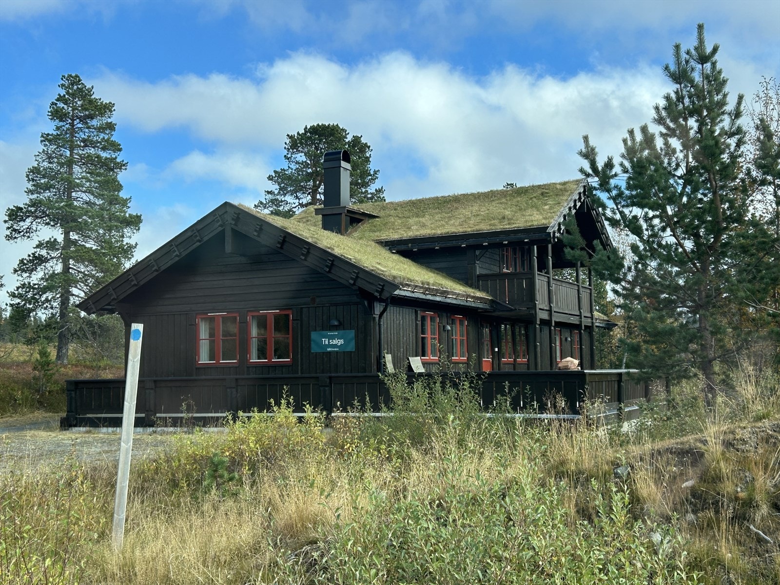 En sydvendt perle med utsikt mot Blefjell, rett ved skiløypa og midt i naturen. Galleribilde