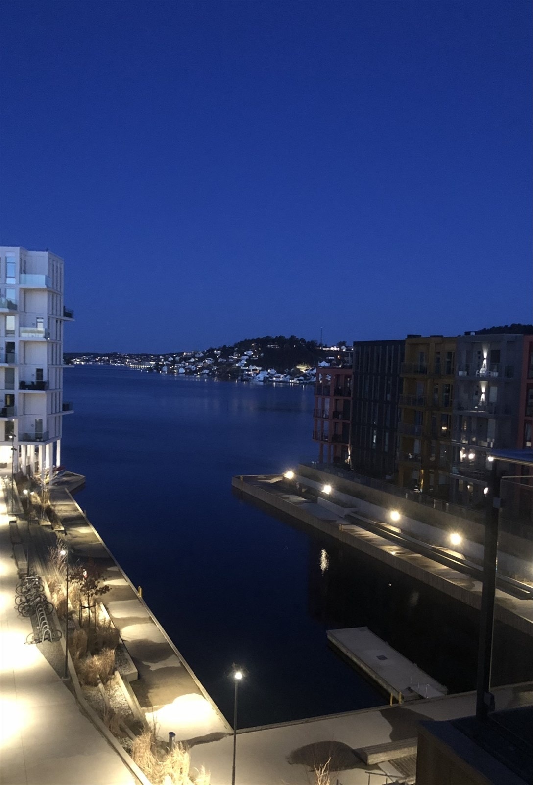 Blåtimen Galleribilde