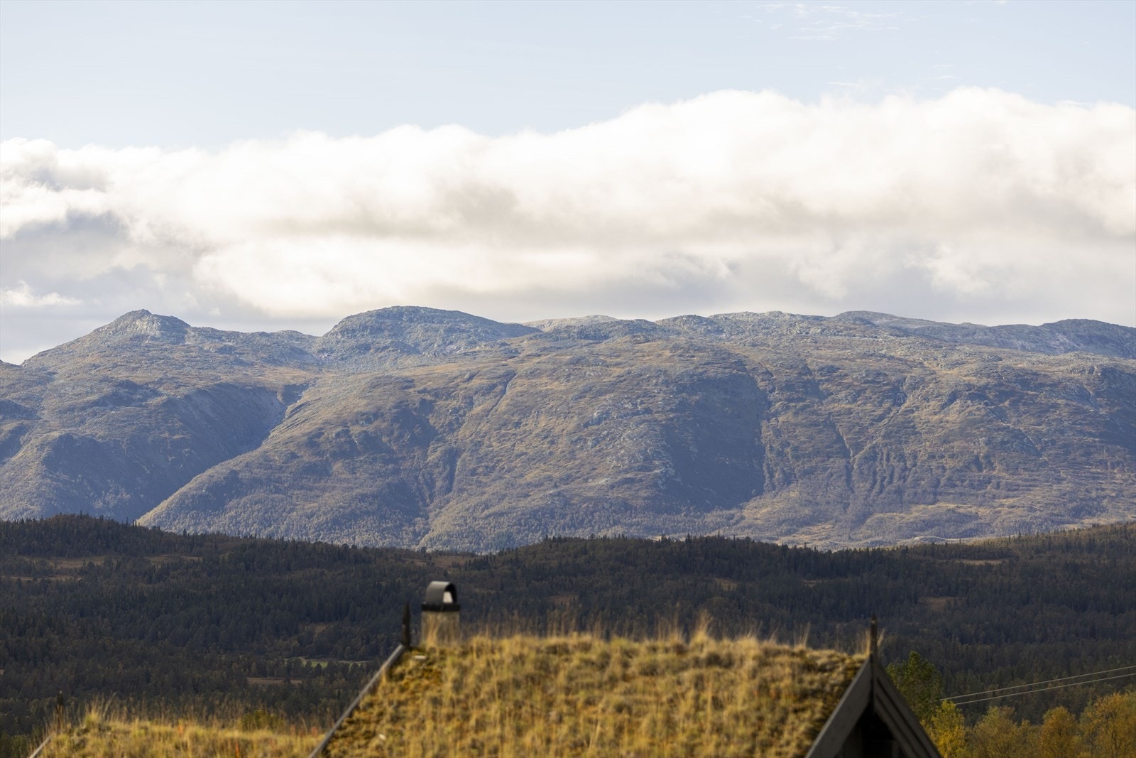 Ønsker du visning? Ta kontakt med eiendomsmegler Guro Hana, på t.9425 4652, for nærmere avtale. Galleribilde
