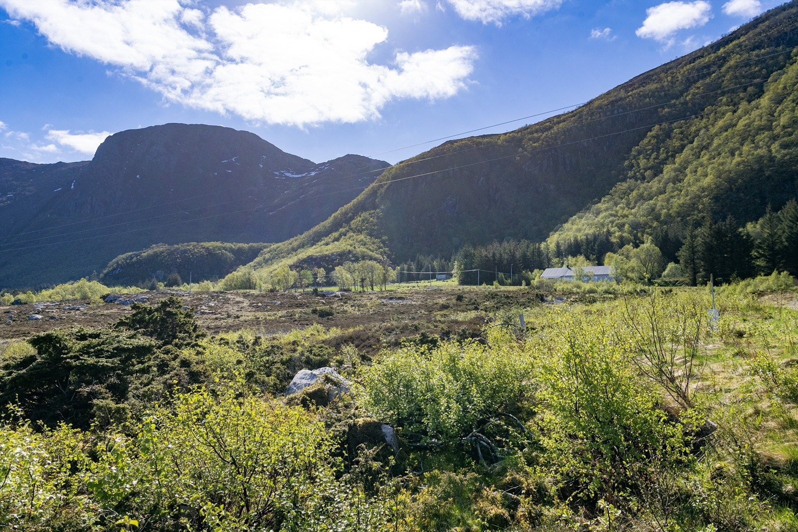 Ræstadhagen Panorama - Tore Magerøy - Møremegling Galleribilde