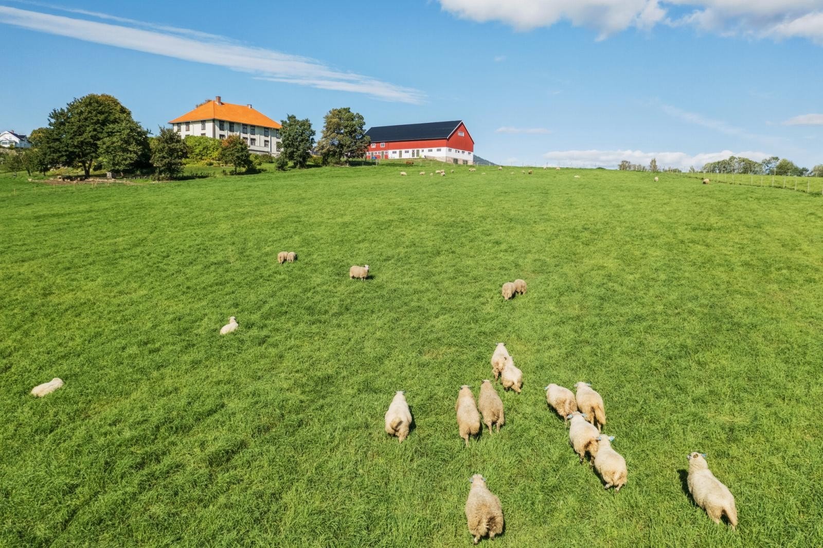Velkommen til visning! Galleribilde