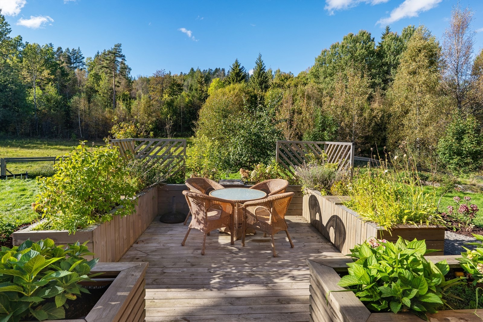 Her kan du nyte stillheten, fuglesang og naturopplevelser rett utenfor døren. Galleribilde