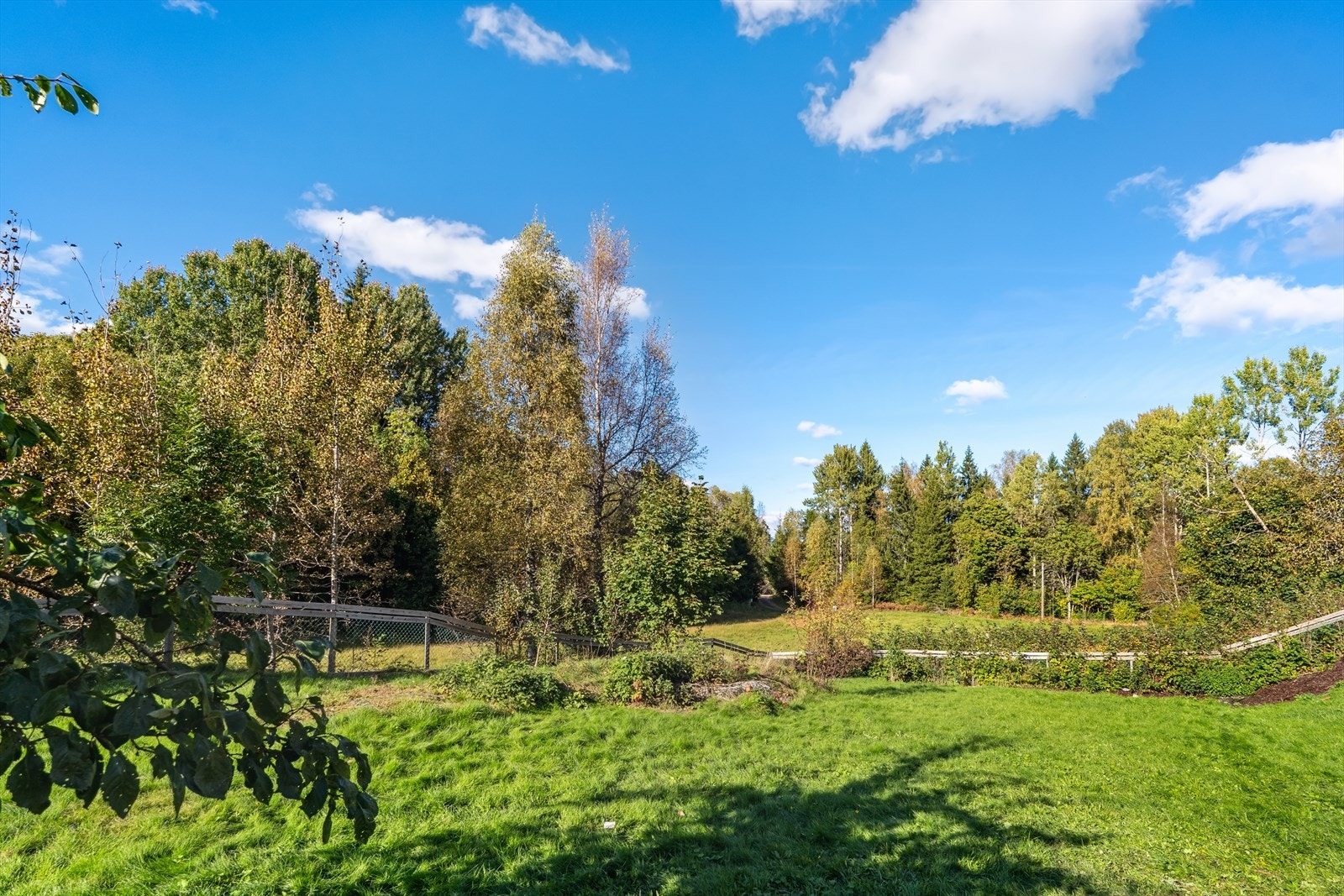 Eiendommen har store utearealer som gir mange muligheter for hobby, dyr eller hageprosjekter. Galleribilde