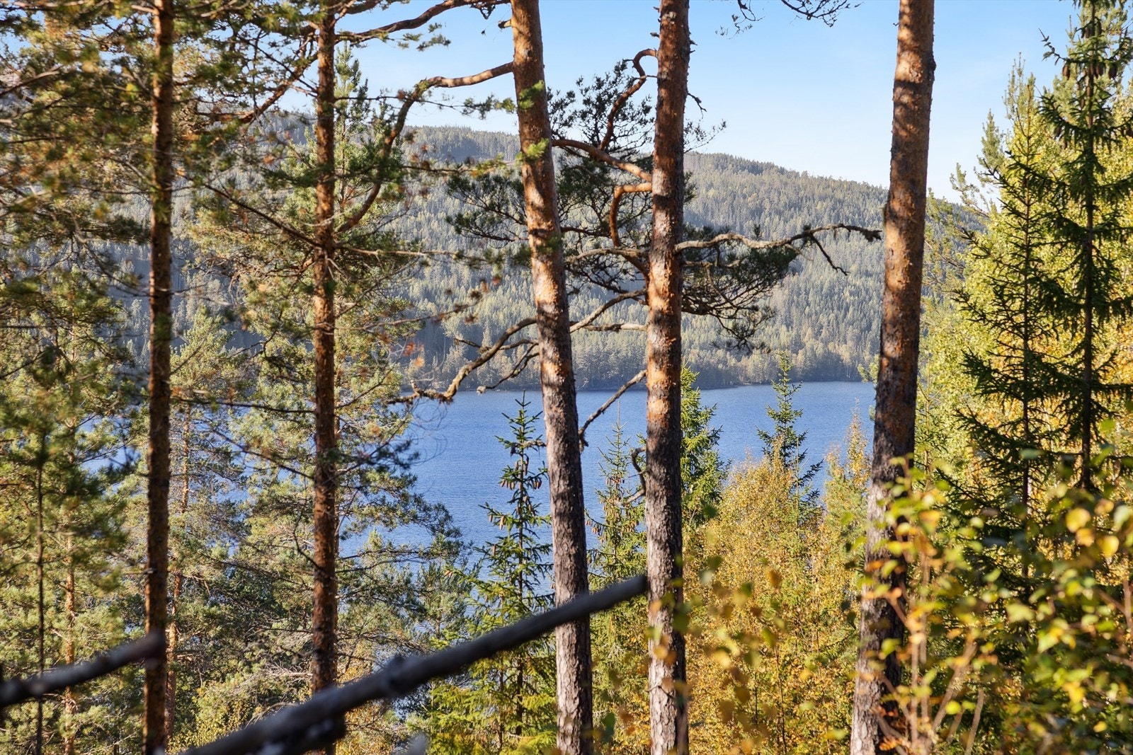 Like i nærheten ligger Samsjøen, et populært område for både bading, fisking og padleturer. Galleribilde
