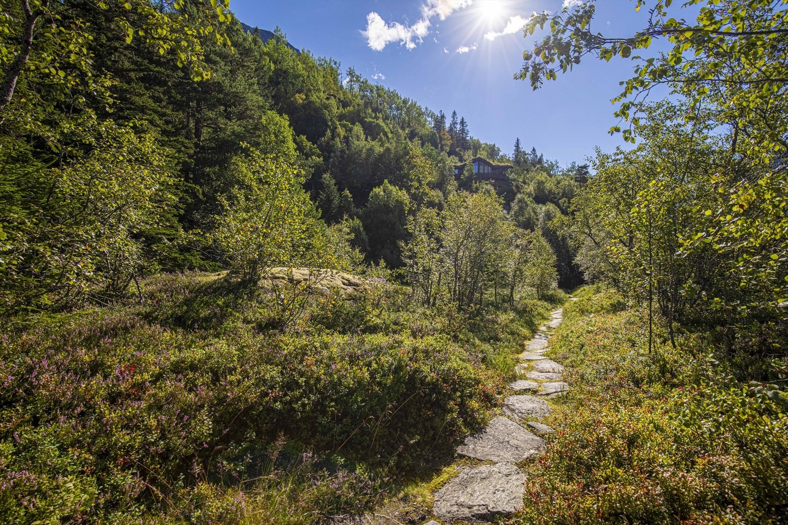 Fra tomten Galleribilde