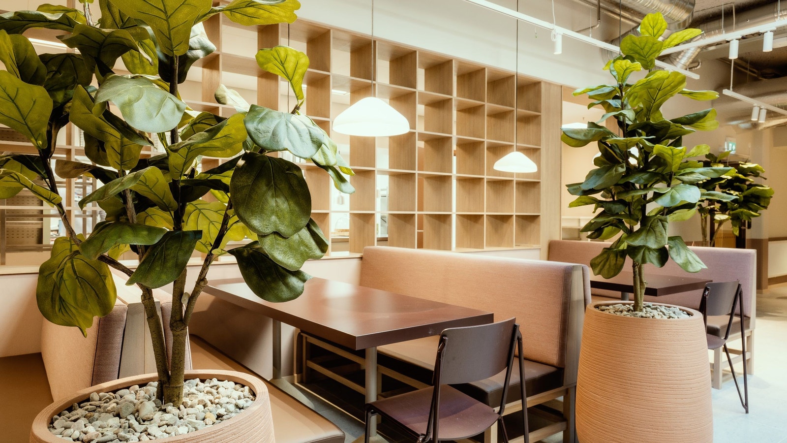 Naturlig lys fra atriumet sørger for lyse fellesarealer Galleribilde